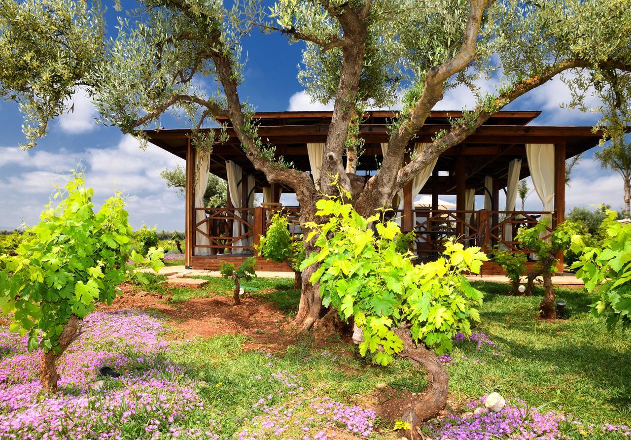 Chateau Roslane Boutique Hotel & Spa Meknes Bagian luar foto